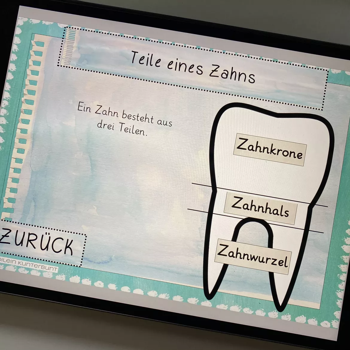 Bild in der Beschreibung des Unterrichtsmaterials Interaktive Lesekartei Unsere Zähne von Froilein Kunterbunt #2