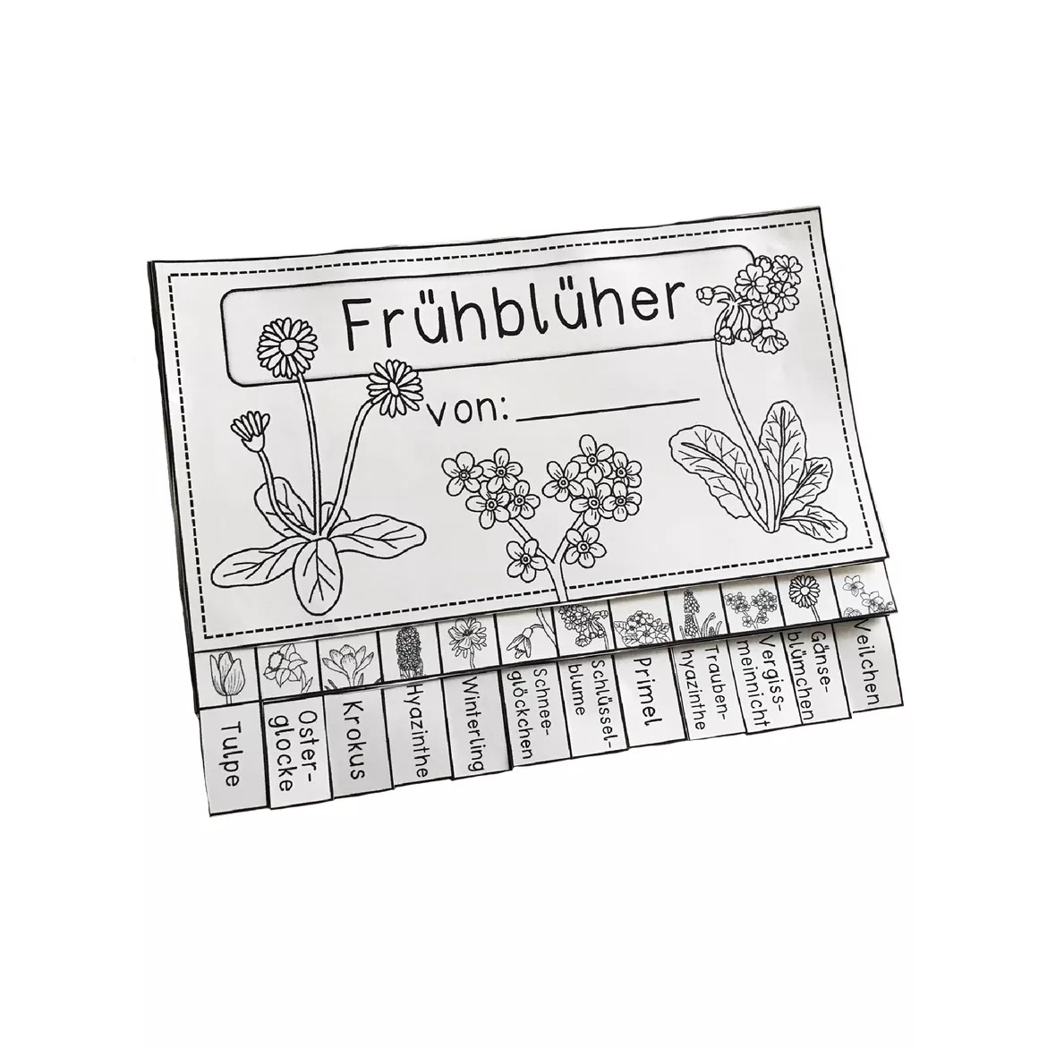 Bild in der Beschreibung des Unterrichtsmaterials Flip Book Frühblüher - zweifach differenzierte Bastelvorlage von Odd Bird & Company #1