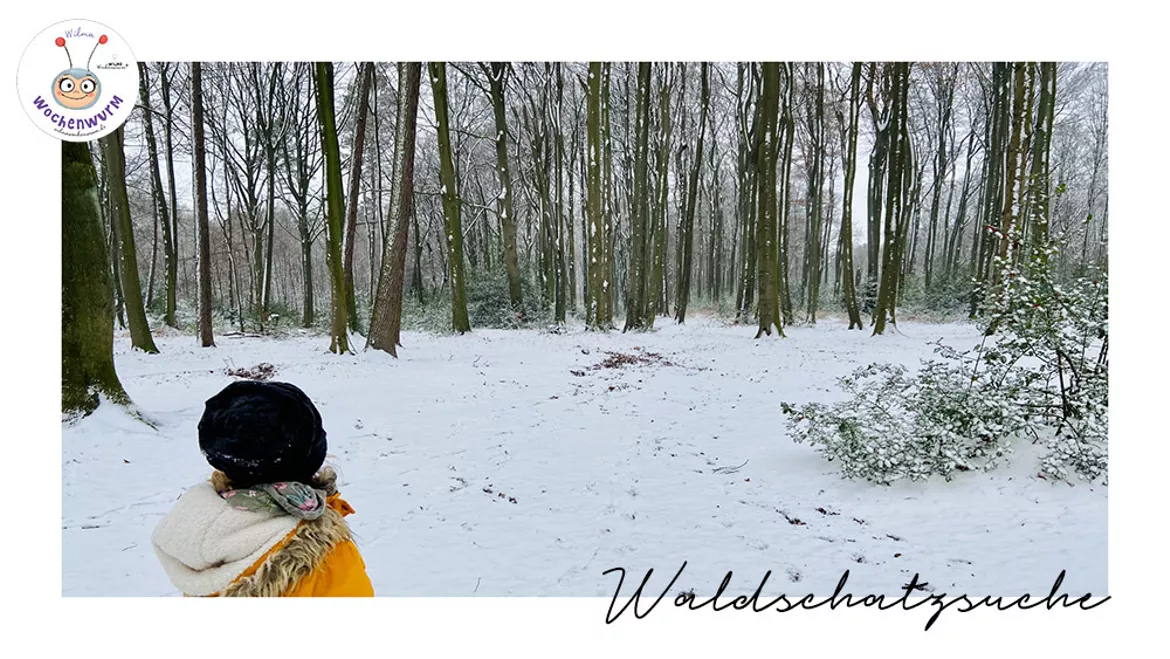 Bild in der Beschreibung des Unterrichtsmaterials Waldschatzsuche im Winter - PDF Vorlage von Wilma Wochenwurm #1