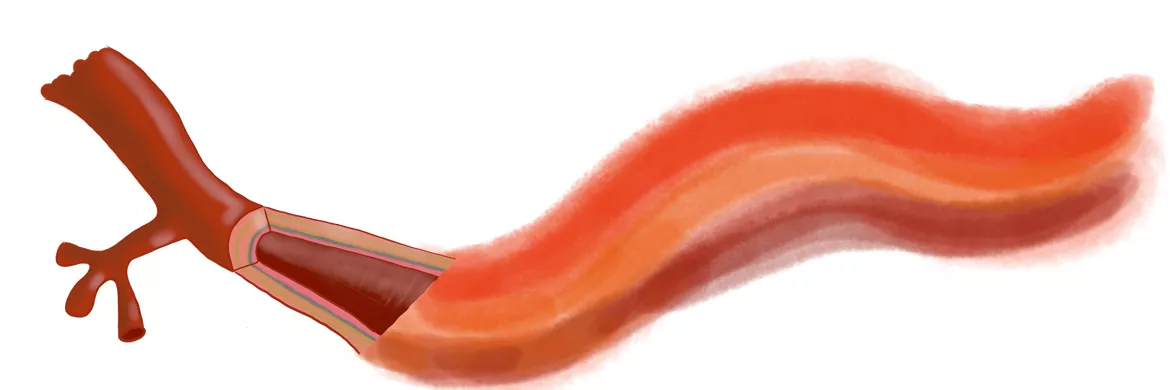 Bild in der Beschreibung des Unterrichtsmaterials Cliparts - Set: *Blutzellen, Blut* von Doodle.The.Science #1