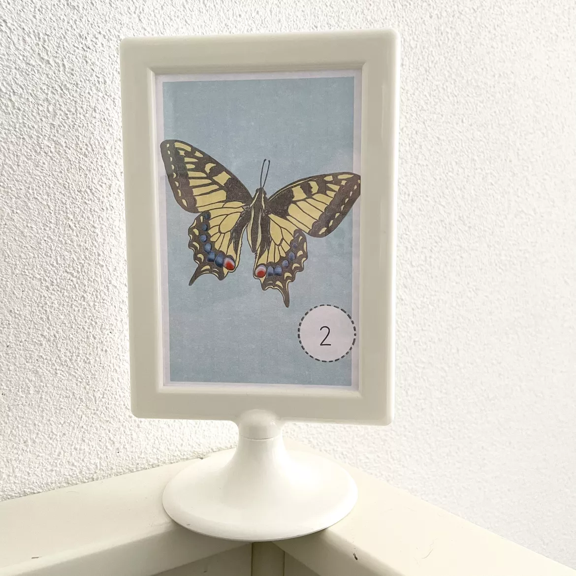 Bild in der Beschreibung des Unterrichtsmaterials KOSTENLOS | Lesespaziergang Schmetterlinge | 1. Klasse von nekoneko #1