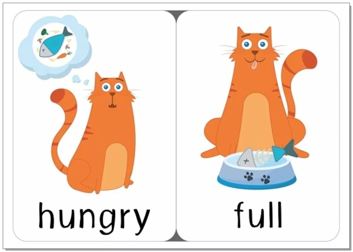 Bild in der Beschreibung des Unterrichtsmaterials Opposites flashcards 2 in 1 von Language Stuff #4