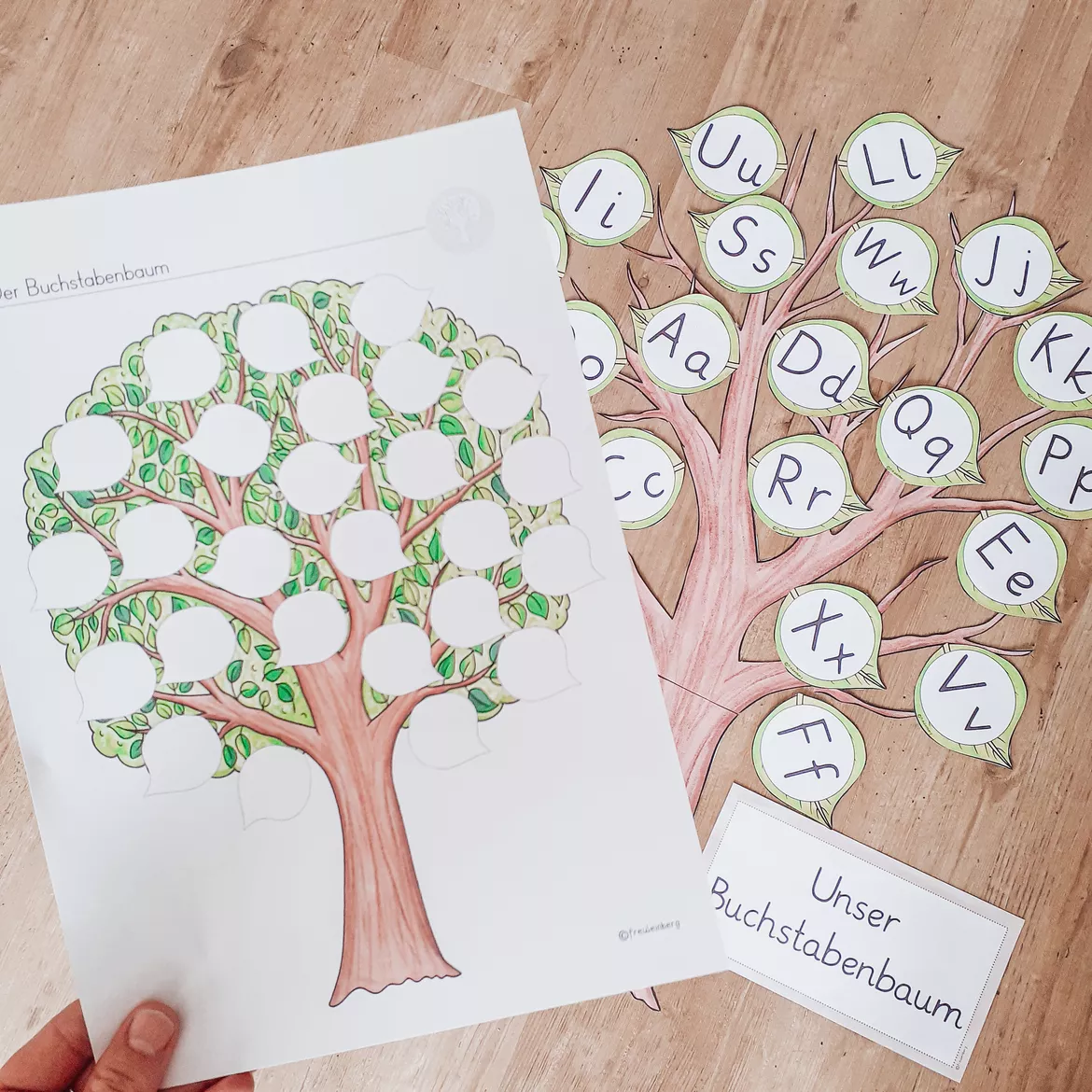 Bild in der Beschreibung des Unterrichtsmaterials Buchstabenbaum Arbeitsblätter von FreuleinBerg #1