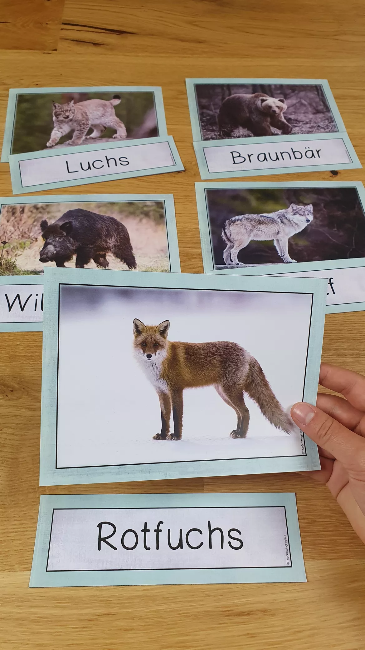 Bild in der Beschreibung des Unterrichtsmaterials Waldtiere - Bild- und Wortkarten (Tafelmaterial) von The Growing Firsties #1