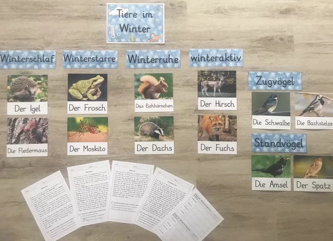 Bild in der Beschreibung des Unterrichtsmaterials Tiere im Winter von ideenfuchs #1