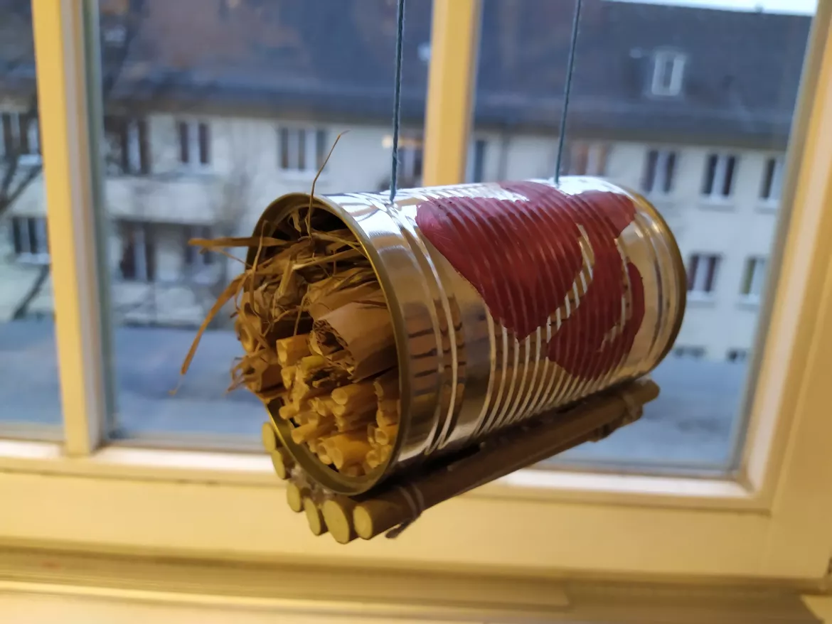 Bild in der Beschreibung des Unterrichtsmaterials Insektenhotel aus einer Konservendose von Bioartsy #1