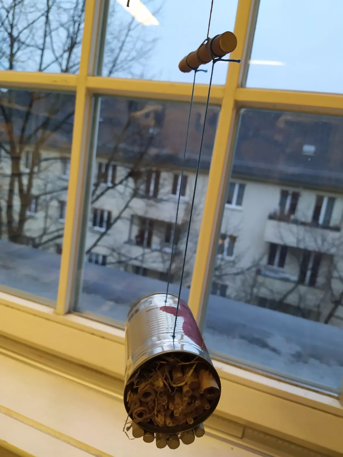 Bild in der Beschreibung des Unterrichtsmaterials Insektenhotel aus einer Konservendose von Bioartsy #2