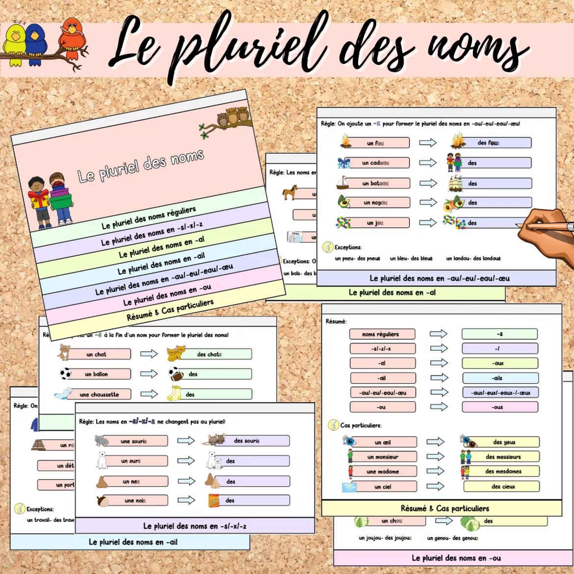 Bild in der Beschreibung des Unterrichtsmaterials Materialpaket: Le pluriel des noms (Pluralbildung) von Mme_Sie #3