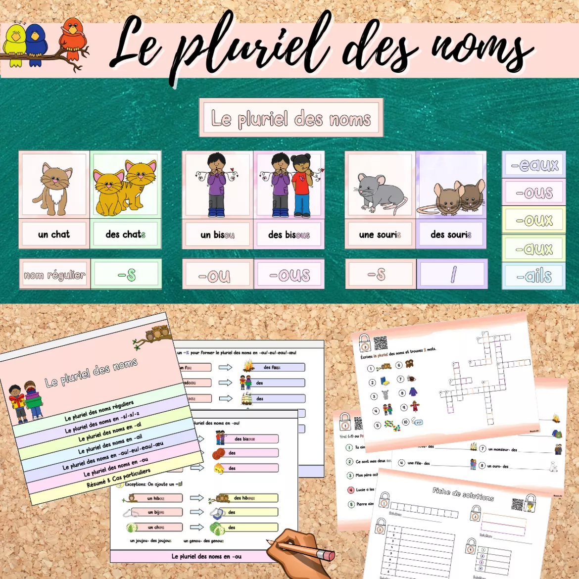 Bild in der Beschreibung des Unterrichtsmaterials Materialpaket: Le pluriel des noms (Pluralbildung) von Mme_Sie #1