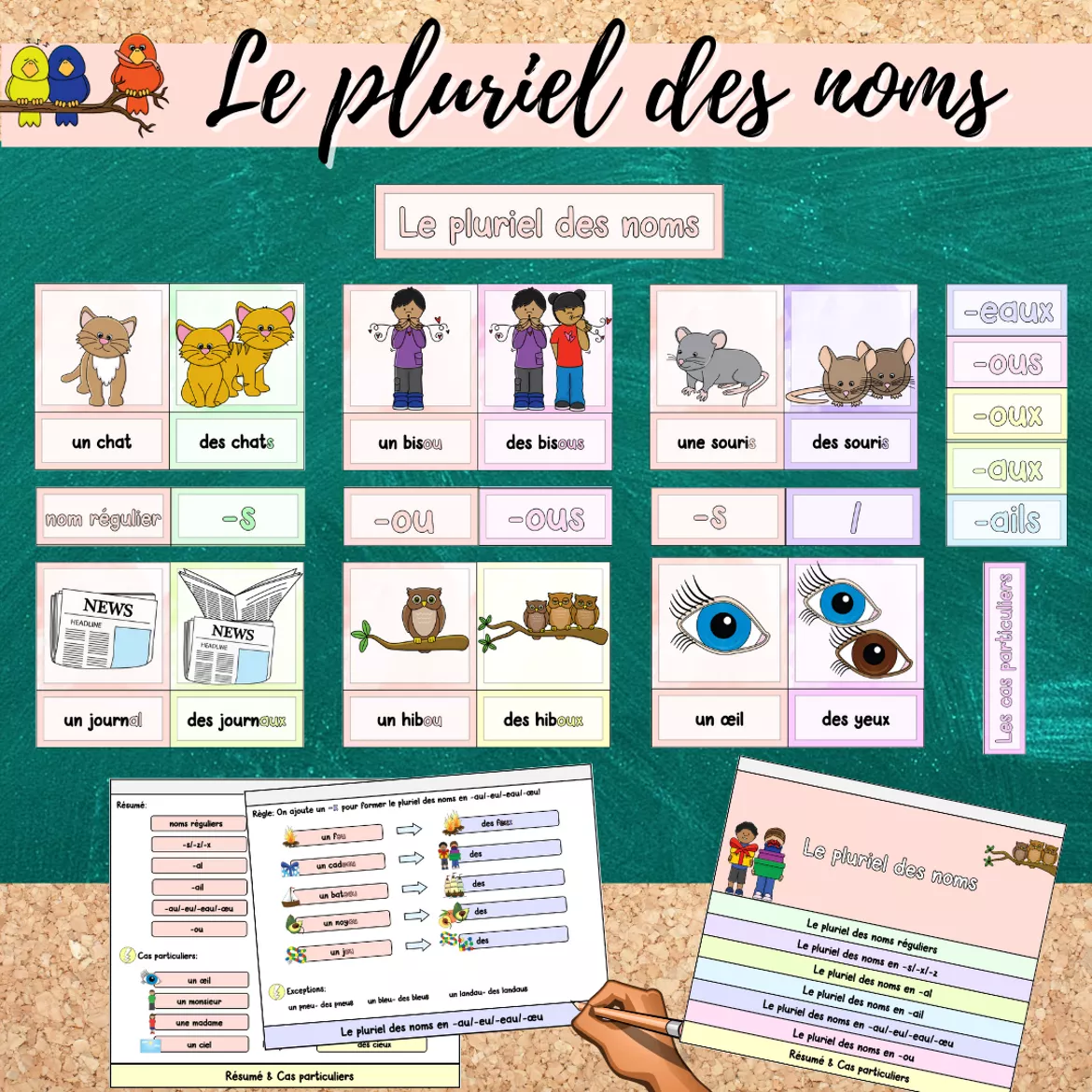 Bild in der Beschreibung des Unterrichtsmaterials Materialpaket: Le pluriel des noms (Pluralbildung) von Mme_Sie #2