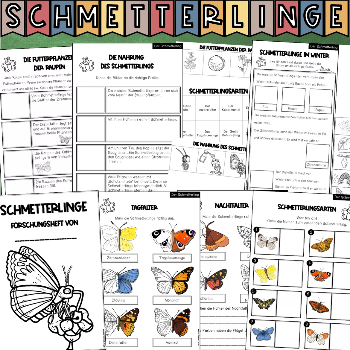 Bild in der Beschreibung des Unterrichtsmaterials Der Schmetterling - Forschungsheft (Arbeitsblätter + Lösungsblätter) von The Growing Firsties #2
