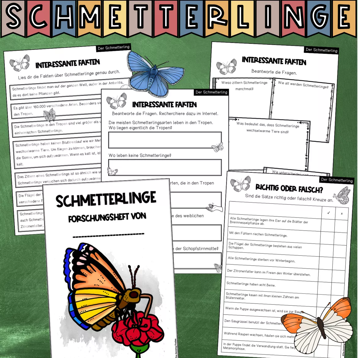 Bild in der Beschreibung des Unterrichtsmaterials Der Schmetterling - Forschungsheft (Arbeitsblätter + Lösungsblätter) von The Growing Firsties #3