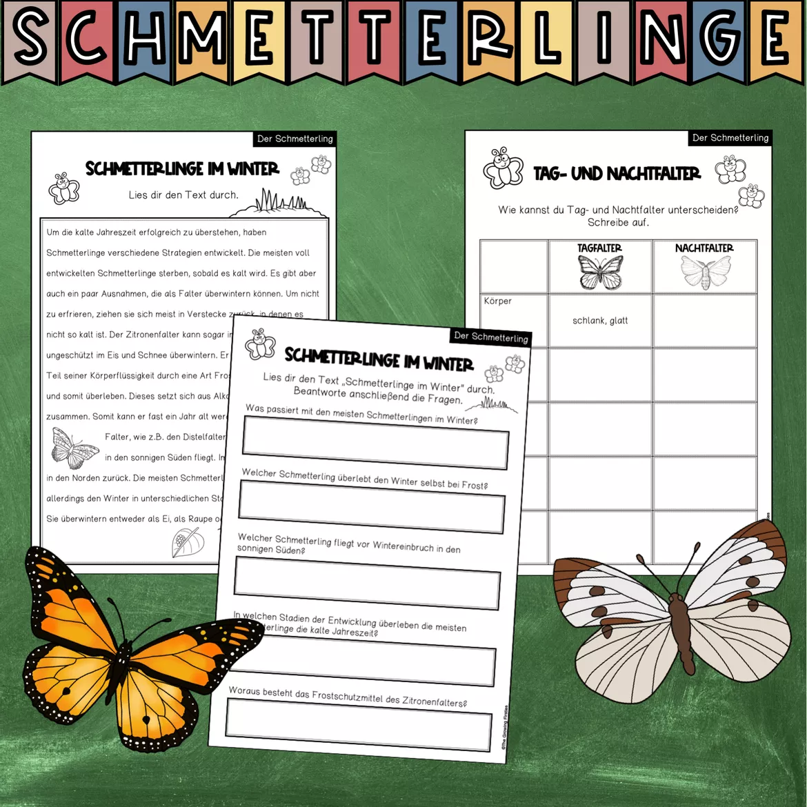 Bild in der Beschreibung des Unterrichtsmaterials Der Schmetterling - Forschungsheft (Arbeitsblätter + Lösungsblätter) von The Growing Firsties #5