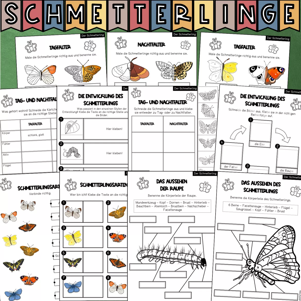 Bild in der Beschreibung des Unterrichtsmaterials Der Schmetterling - Forschungsheft (Arbeitsblätter + Lösungsblätter) von The Growing Firsties #7