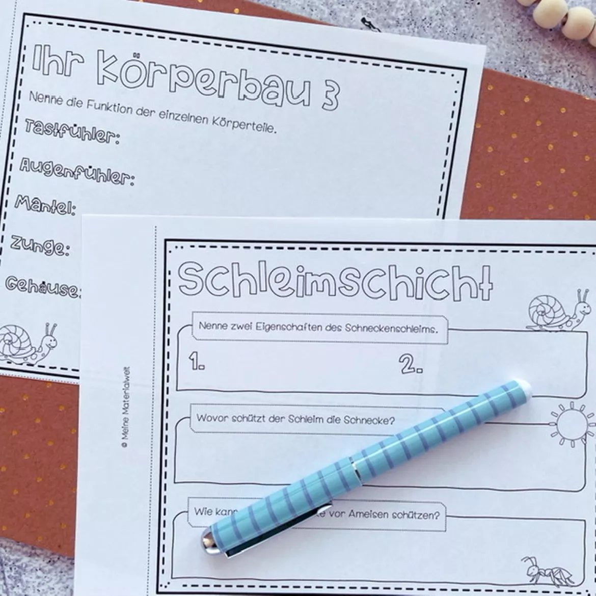 Bild in der Beschreibung des Unterrichtsmaterials Lernheft zur Schnecke - Wirbellose von Meine Materialwelt #2