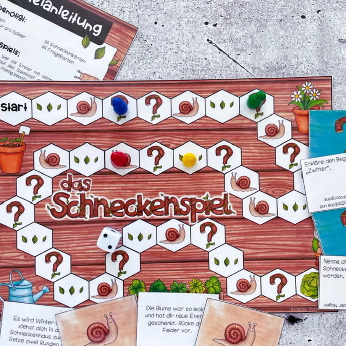 Bild in der Beschreibung des Unterrichtsmaterials Schneckenspiel - Wirbellose von Meine Materialwelt #1