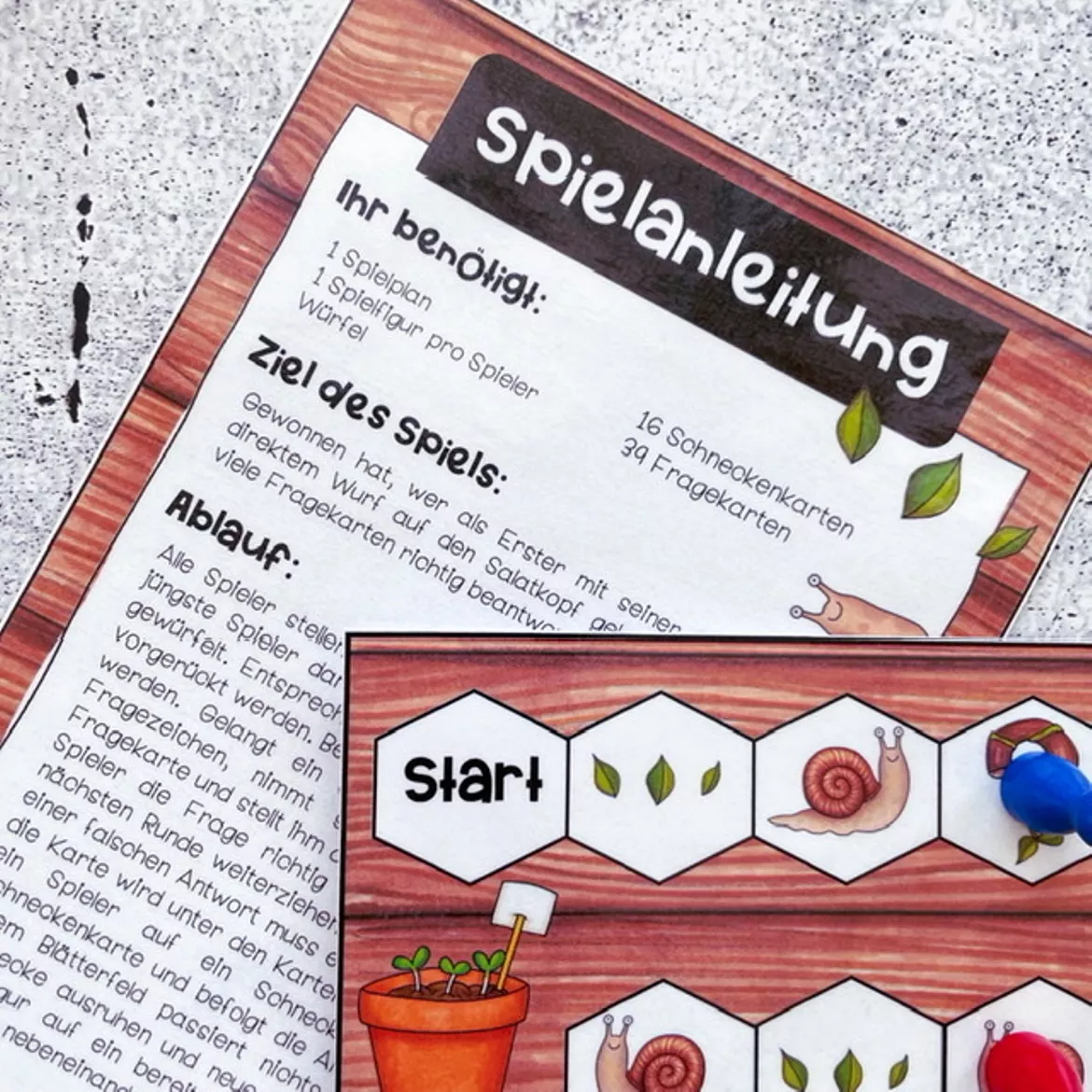 Bild in der Beschreibung des Unterrichtsmaterials Schneckenspiel - Wirbellose von Meine Materialwelt #2