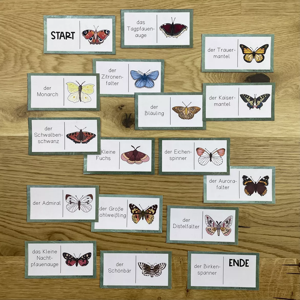 Bild in der Beschreibung des Unterrichtsmaterials Der Schmetterling - Dominospiel von The Growing Firsties #1