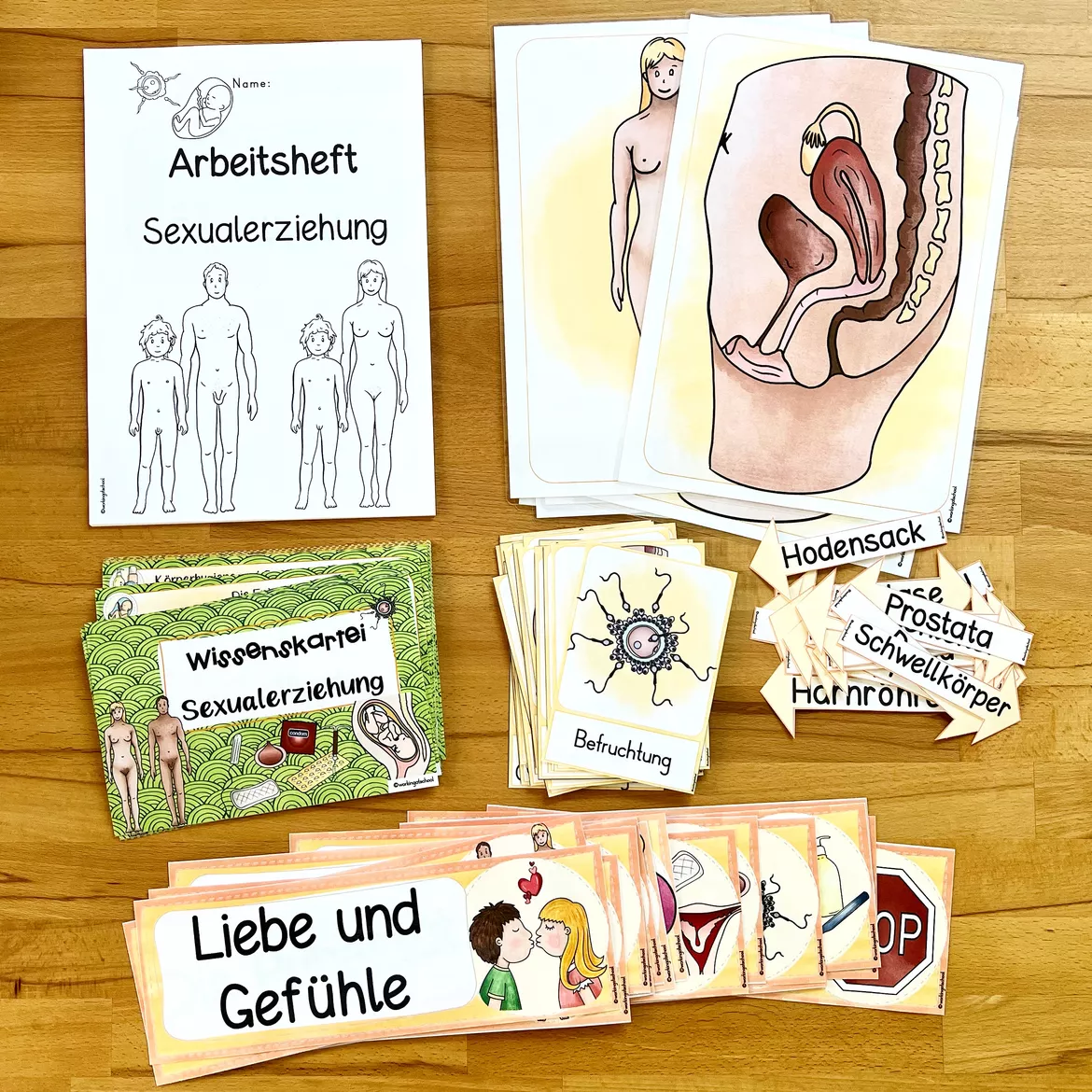 Bild in der Beschreibung des Unterrichtsmaterials Sexualerziehung von workingatschool #2