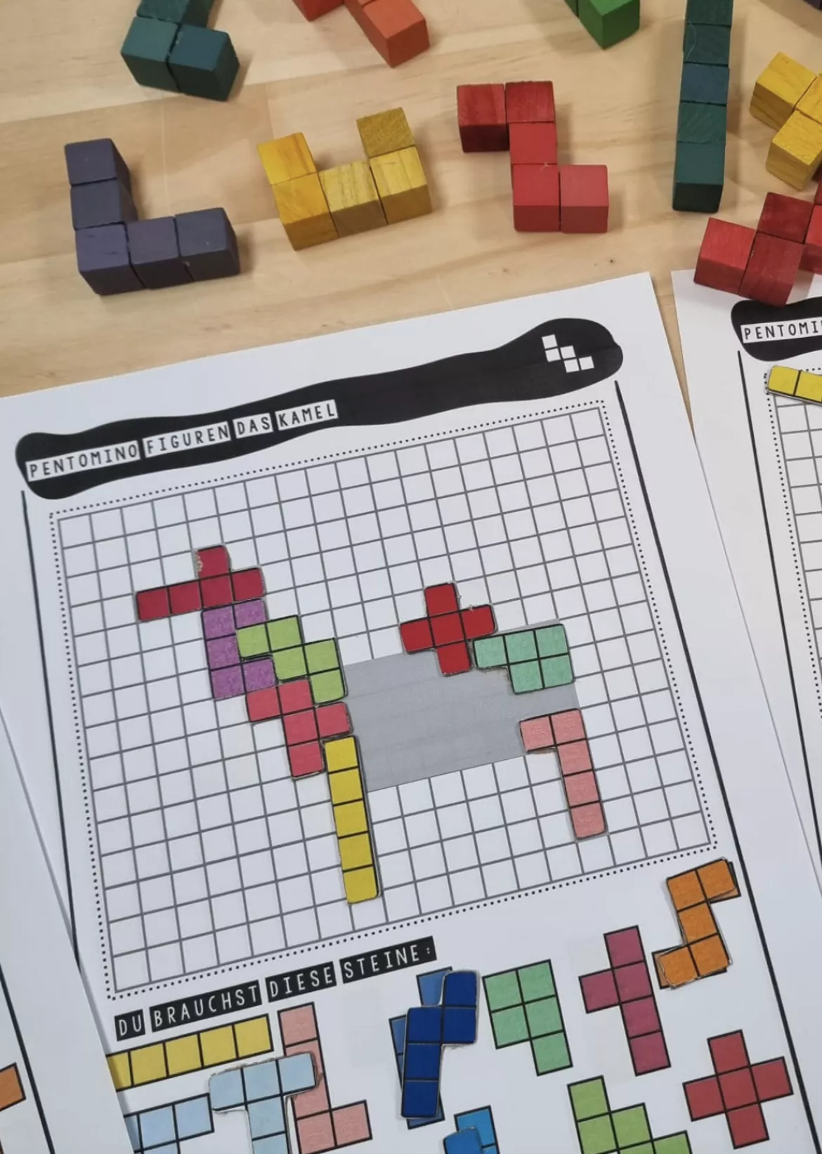 Bild in der Beschreibung des Unterrichtsmaterials Pentomino - differenzierte Kopiervorlagen für Mathematik von kreativ lernen #2