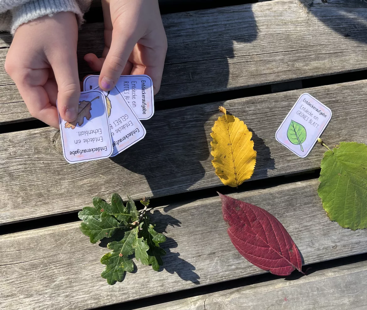 Bild in der Beschreibung des Unterrichtsmaterials 50 Entdeckerkarten - Herbst / Herbstzeit Ausflüge von Doodleteacher #1