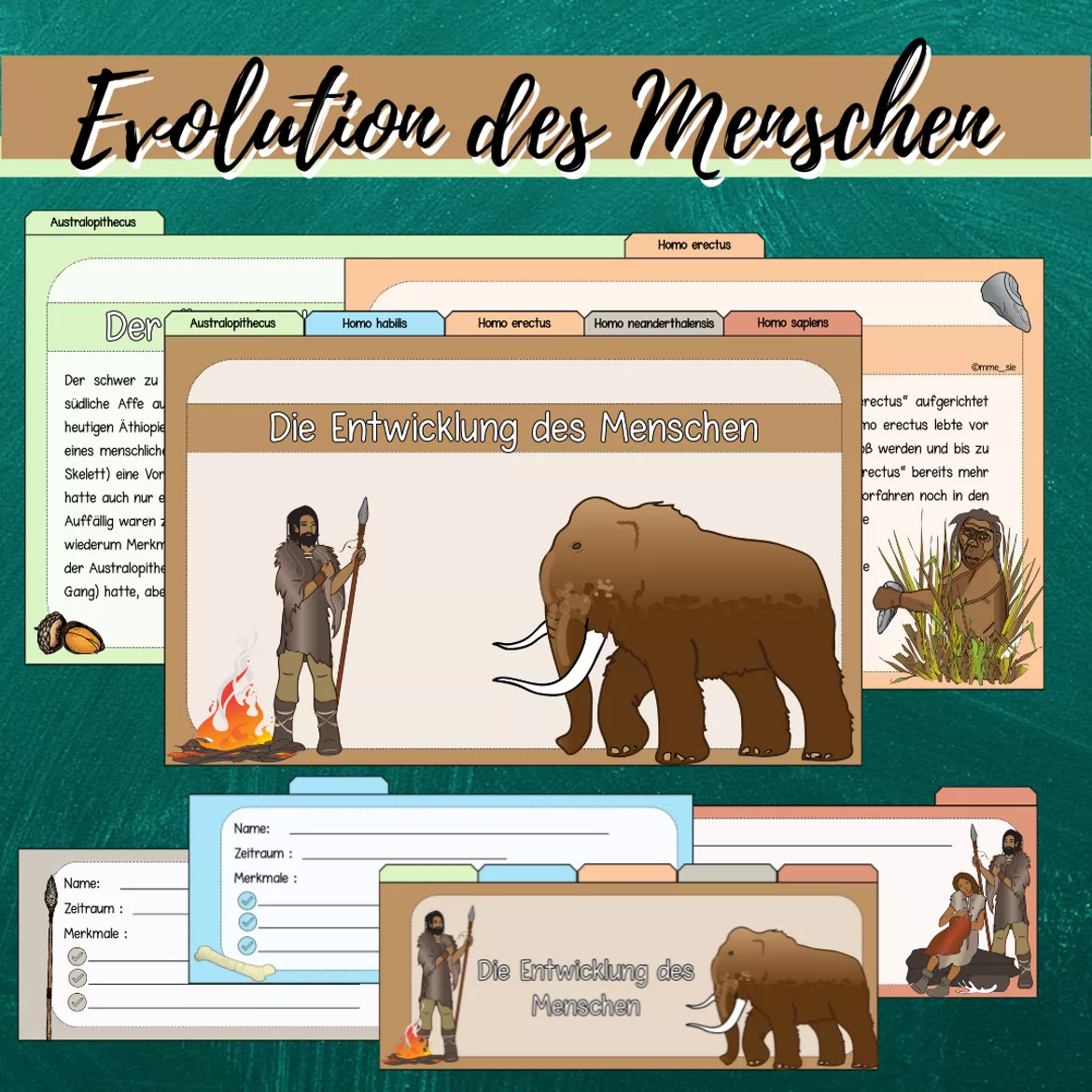 Bild in der Beschreibung des Unterrichtsmaterials Lernkartei & Lernfächer: Die Evolution des Menschen von Mme_Sie #1