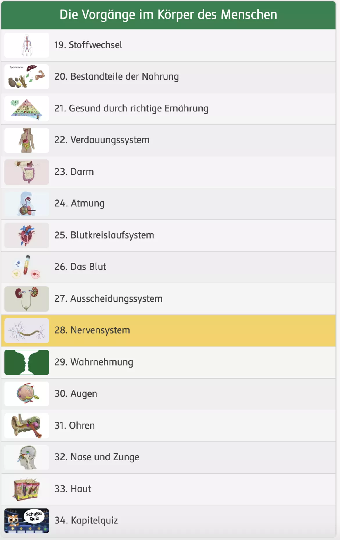 Bild in der Beschreibung des Unterrichtsmaterials Das Nervensystem (interaktiv) von SchuBu.digitaleSchulbücher #1
