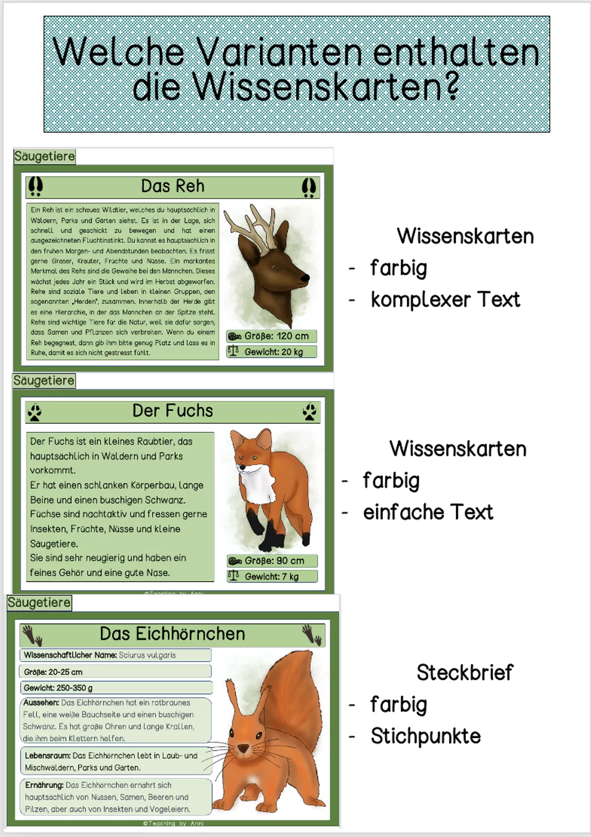 Bild in der Beschreibung des Unterrichtsmaterials Waldtiere - differenzierte Wissenskarten Wissenskartei (6 Formate) von Teaching_by_Anni #1