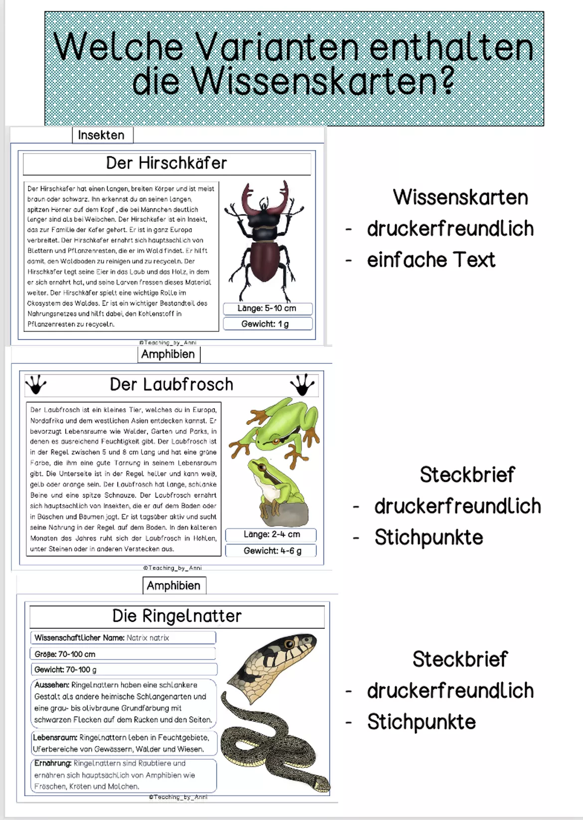 Bild in der Beschreibung des Unterrichtsmaterials Waldtiere - differenzierte Wissenskarten Wissenskartei (6 Formate) von Teaching_by_Anni #2