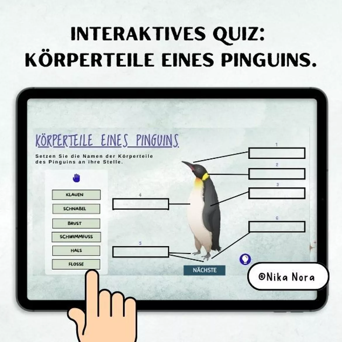 Bild in der Beschreibung des Unterrichtsmaterials Anatomie einer Meeresschildkröte - POSTER. von Nika-Nora #1
