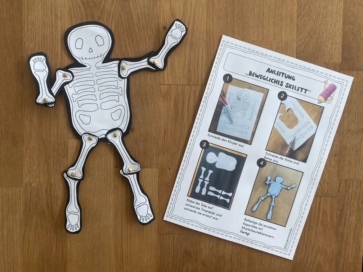 Bild in der Beschreibung des Unterrichtsmaterials Bewegliches Skelett - Kunstprojekt (Klasse 3-4) von Grundschulimpulse #1