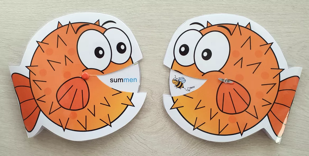 Bild in der Beschreibung des Unterrichtsmaterials BUNDLE - Tandemlesen mit Lesekugelfischen - passt zu "Lola - Einsterns Schwester" von smilematerial #1