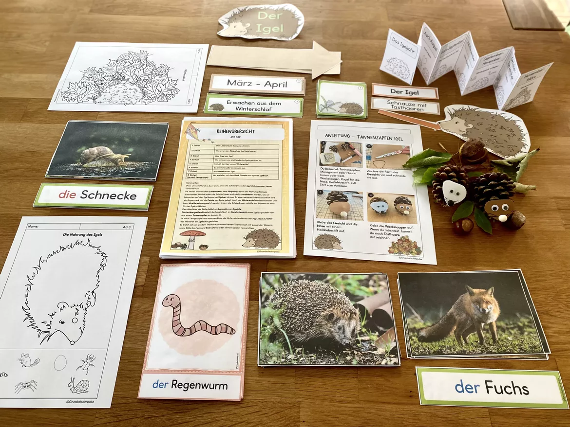 Bild in der Beschreibung des Unterrichtsmaterials Wachsendes Materialpaket: ALLE Unterrichtsreihen (Klasse 1-4) von Grundschulimpulse #17