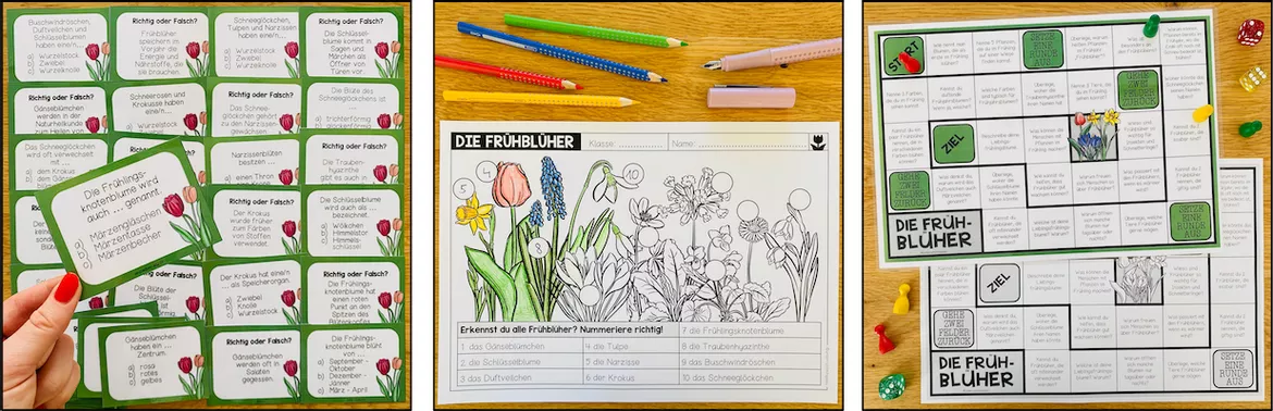 Bild in der Beschreibung des Unterrichtsmaterials FRÜHBLÜHER - LERNWERKSTATT von Unterrichtmitspass #3