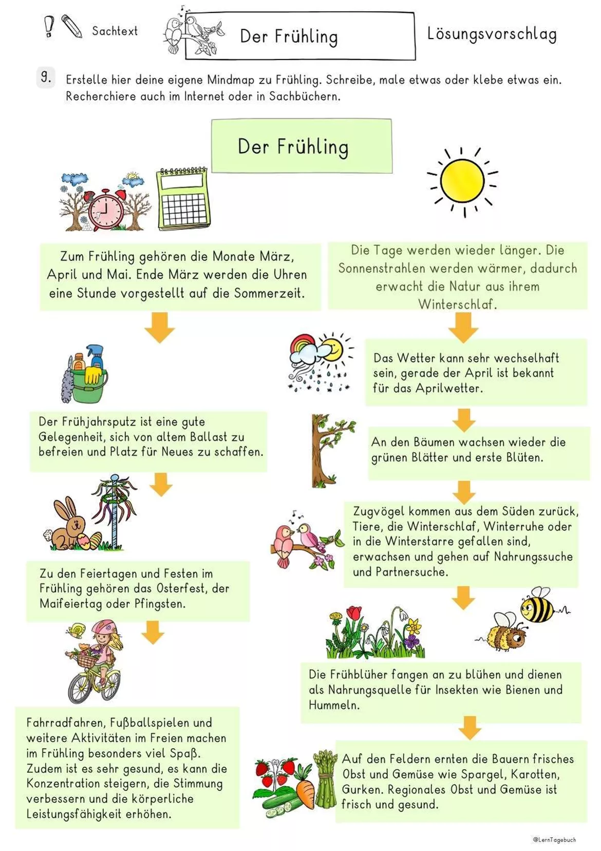 Bild in der Beschreibung des Unterrichtsmaterials Frühling Sachtext Lesen und verstehen, Leseverständnis Klasse 4, 5, 6 von LernTagebuch #1