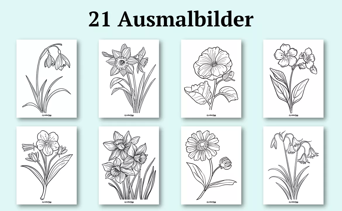 Bild in der Beschreibung des Unterrichtsmaterials Frühblüher ❂ Ausmalbilder (21 Malvorlagen) von colorinq #2