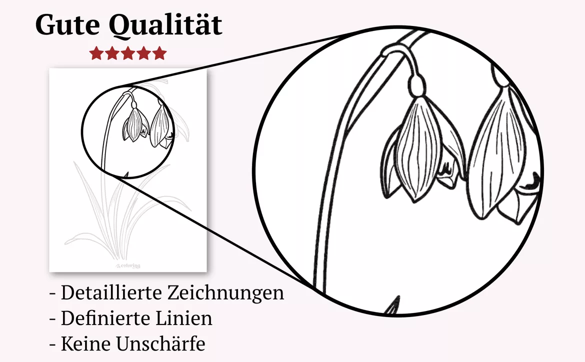 Bild in der Beschreibung des Unterrichtsmaterials Frühblüher ❂ Ausmalbilder (21 Malvorlagen) von colorinq #4