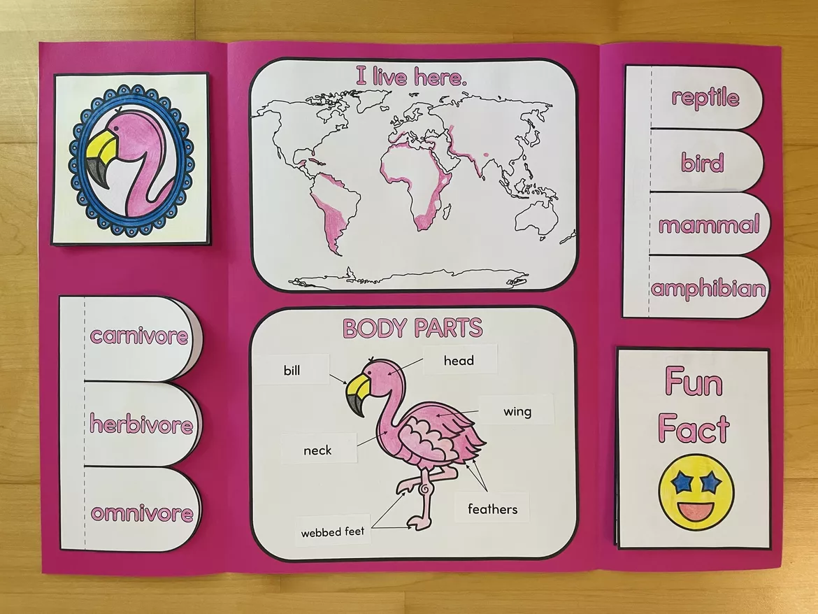 Bild in der Beschreibung des Unterrichtsmaterials Zoo Animals A-Z - Flamingo Lapbook von Camilla