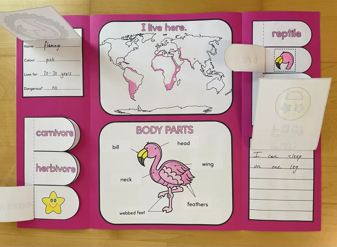 Bild in der Beschreibung des Unterrichtsmaterials Zoo Animals A-Z - Flamingo Lapbook von Camilla