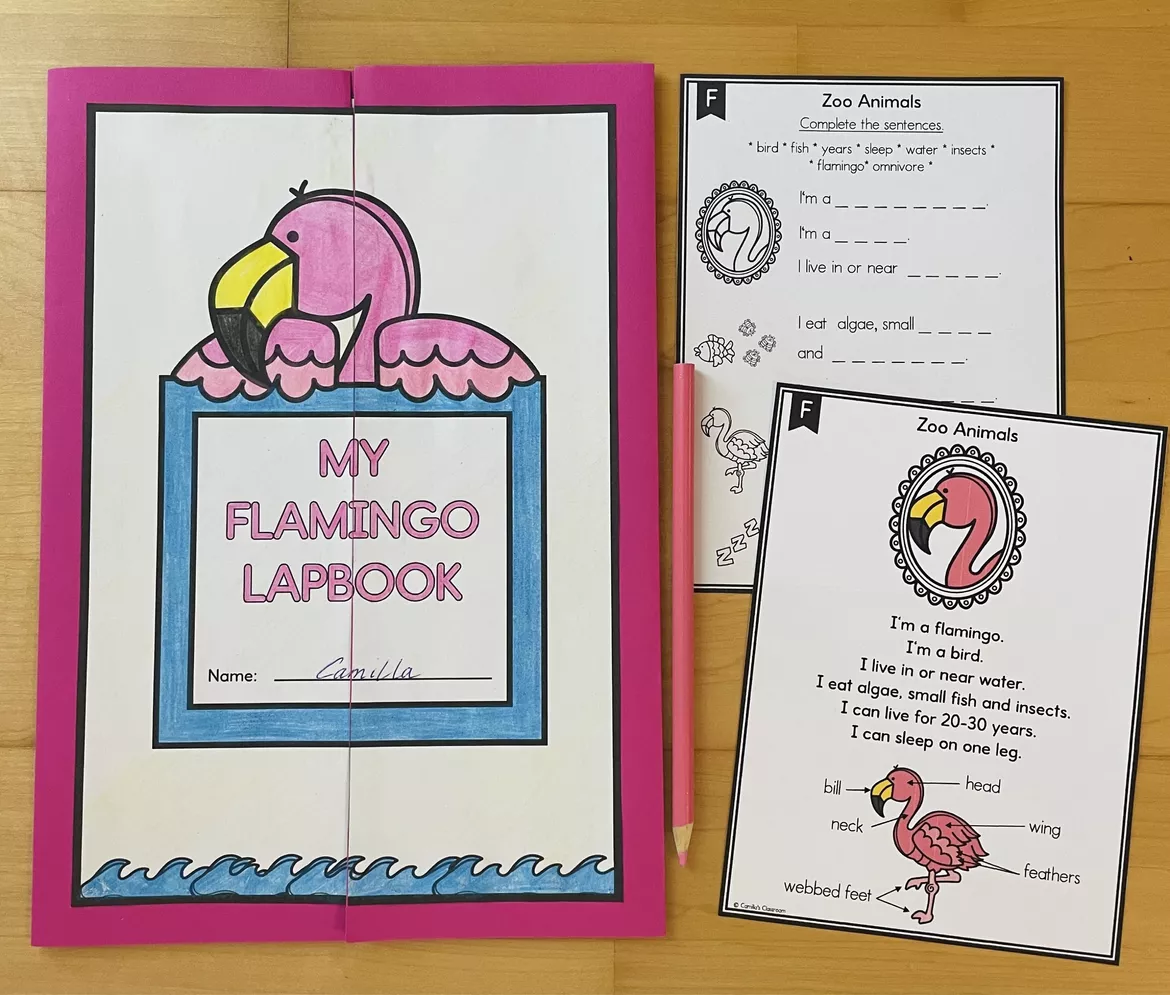 Bild in der Beschreibung des Unterrichtsmaterials Zoo Animals A-Z - Flamingo Lapbook von Camilla