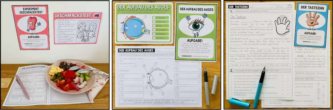 Bild in der Beschreibung des Unterrichtsmaterials 5 Sinne – Lernwerkstatt zu Sinnesorganen, Auge, Ohr, Nase, Haut und Zunge | 3.–5. Schulstufe von Unterrichtmitspass #3