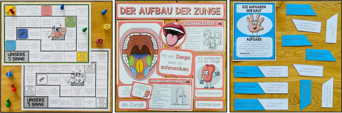 Bild in der Beschreibung des Unterrichtsmaterials 5 Sinne – Lernwerkstatt zu Sinnesorganen, Auge, Ohr, Nase, Haut und Zunge | 3.–5. Schulstufe von Unterrichtmitspass #5