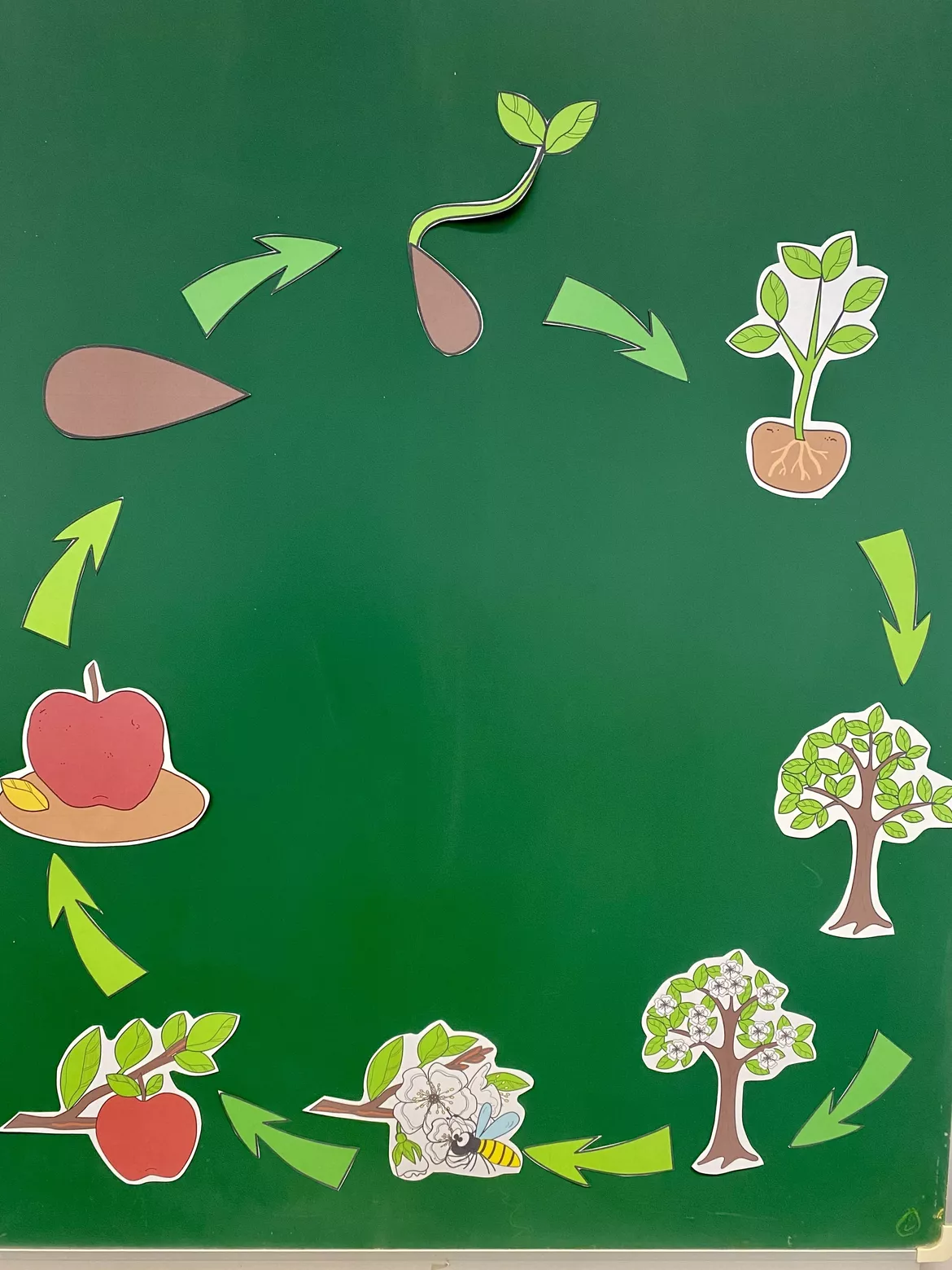Bild in der Beschreibung des Unterrichtsmaterials Unterrichtsreihe: Der Apfel (Klasse 1+2) von Grundschulimpulse #6