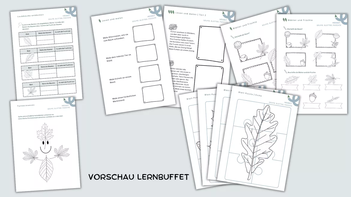 Bild in der Beschreibung des Unterrichtsmaterials Unterrichtseinheit Herbst | Bäume, Blätter, Früchte von Lehrerglück #5