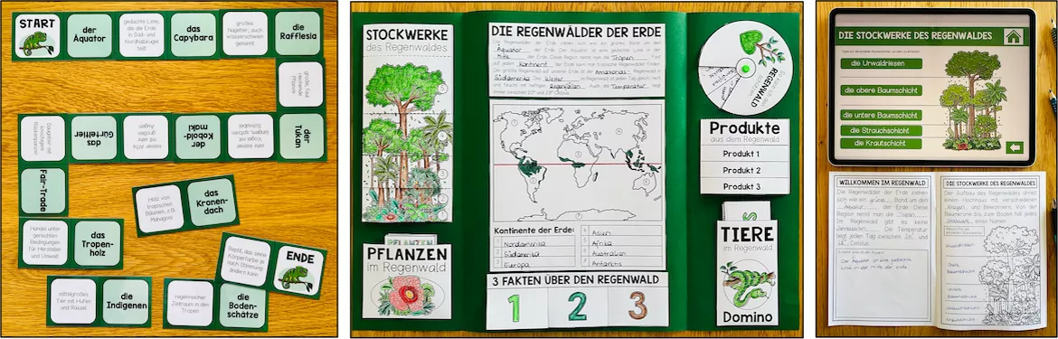 Bild in der Beschreibung des Unterrichtsmaterials Regenwald – Erdkunde, tropischer Regenwald, Tiere und Pflanzen, Produkte aus dem Regenwald, Klasse 3, 4, 5, Sachunterricht, Biologie | Materialpaket von Unterrichtmitspass #4