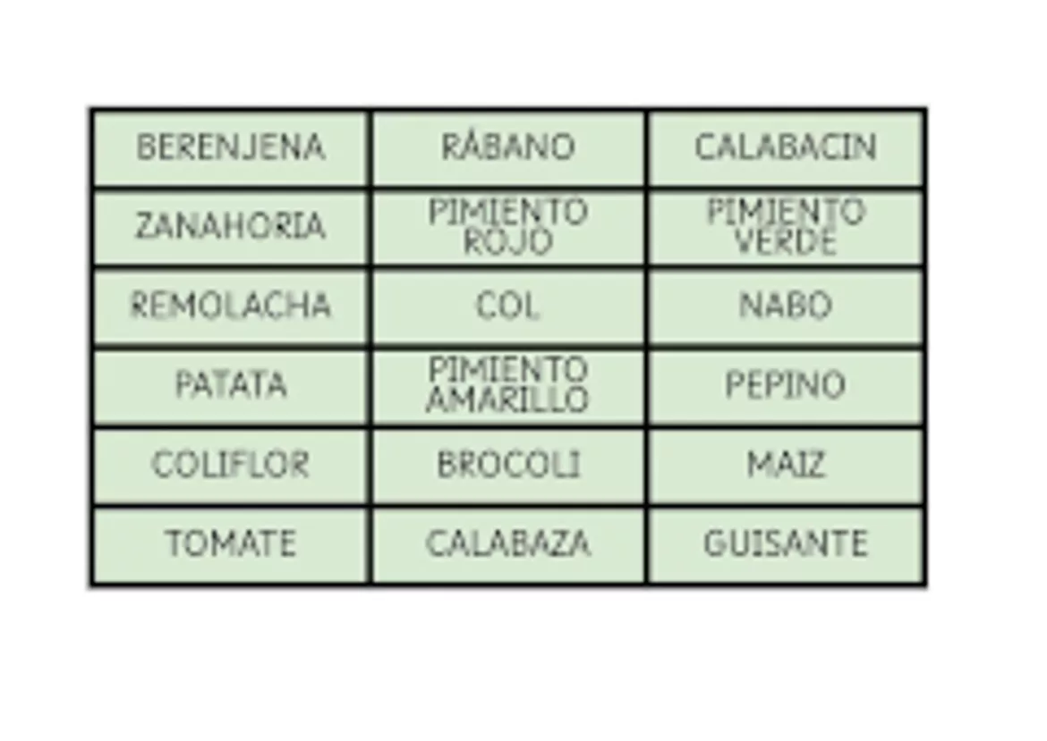 Bild in der Beschreibung des Unterrichtsmaterials Ruletas de vocabulario de productos del huerto von Pepa Morón #3