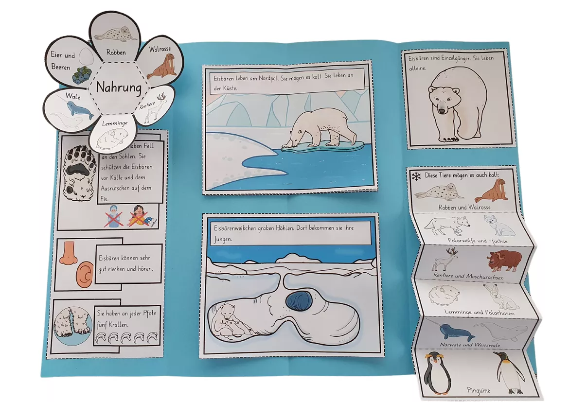 Bild in der Beschreibung des Unterrichtsmaterials Lapbook für den Kindergarten: Der Eisbär von Lernzaubern #1