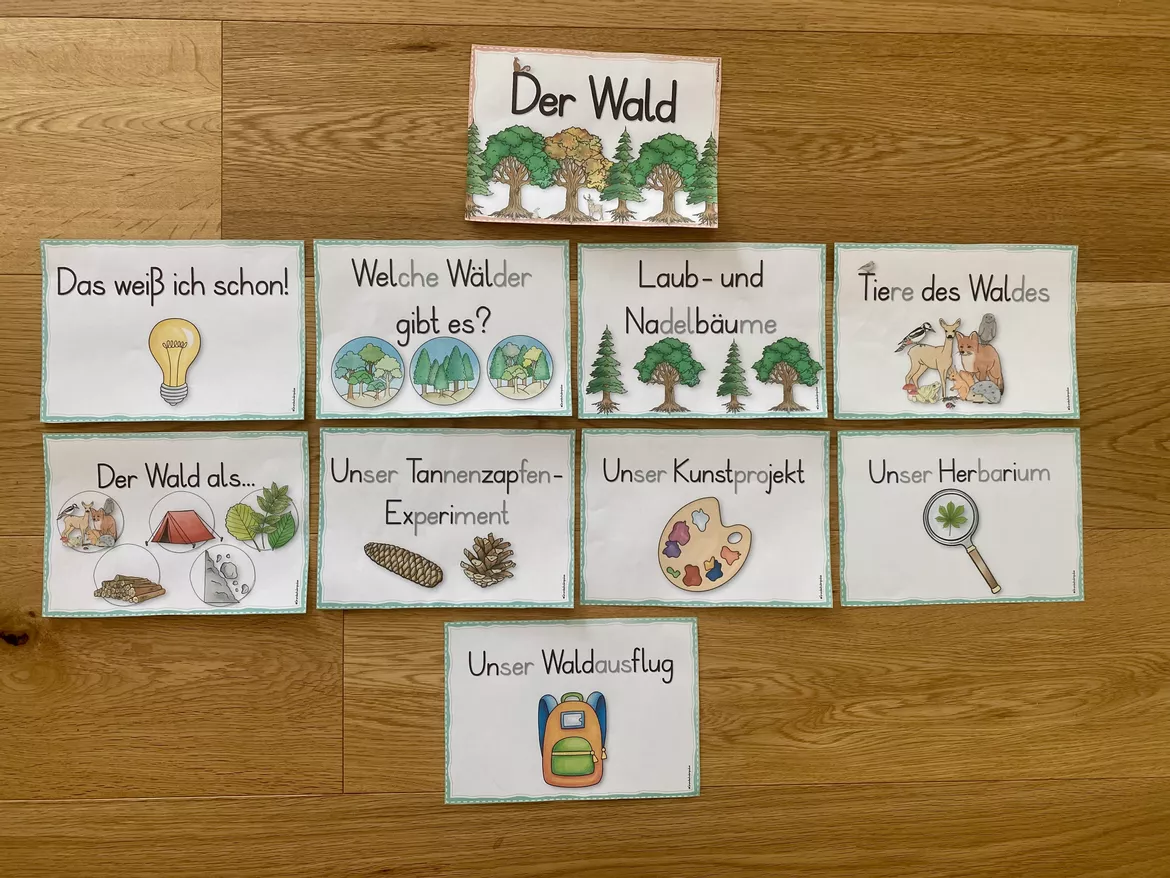 Bild in der Beschreibung des Unterrichtsmaterials Unterrichtsreihe - Der Wald (Klasse 1+2) von Grundschulimpulse #2