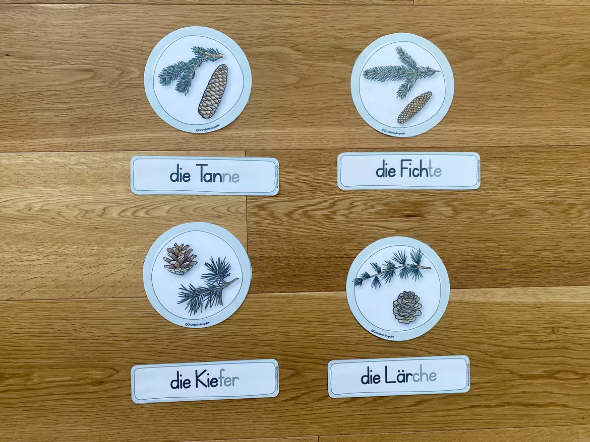 Bild in der Beschreibung des Unterrichtsmaterials Unterrichtsreihe - Der Wald (Klasse 1+2) von Grundschulimpulse #6
