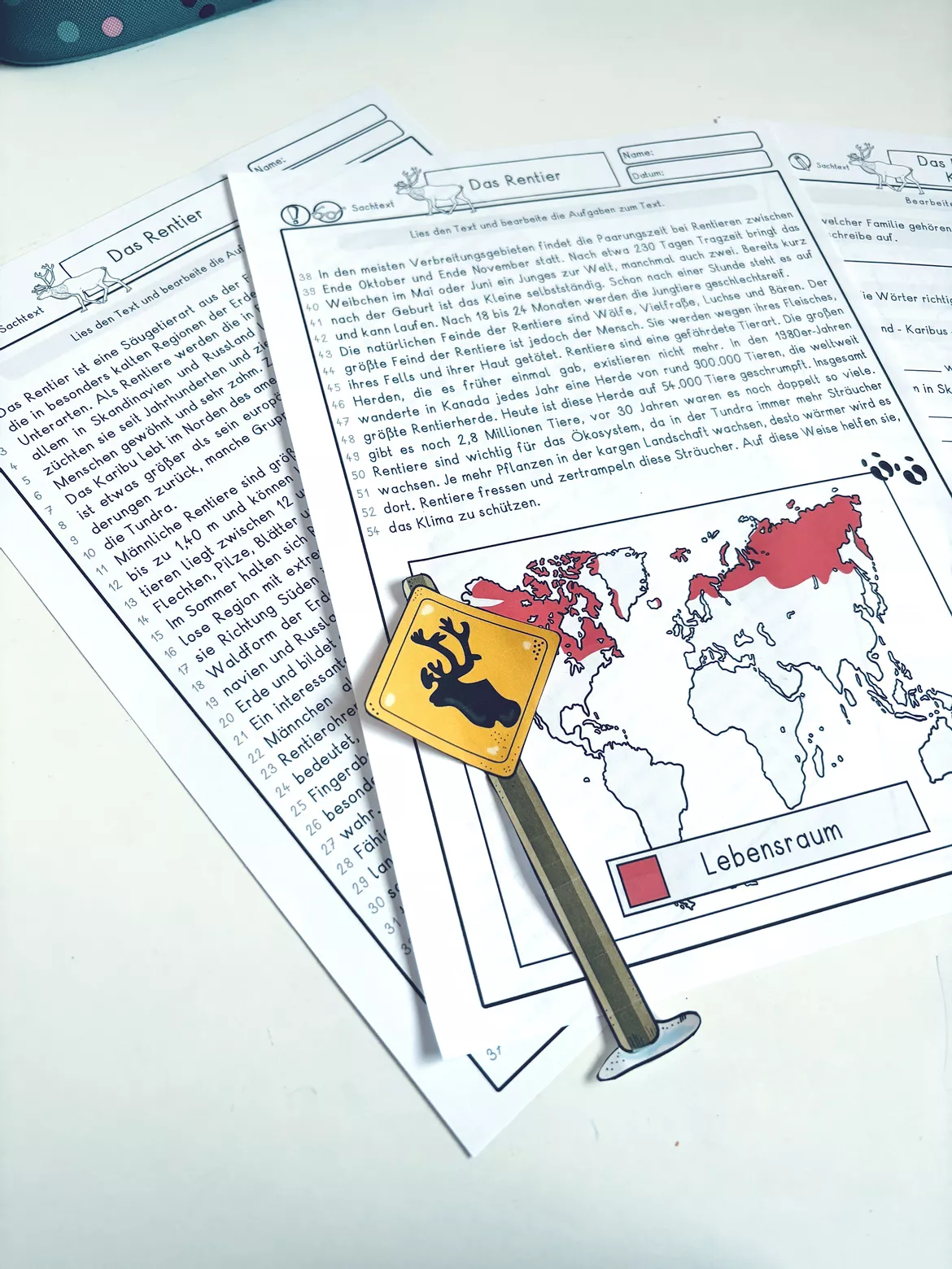 Bild in der Beschreibung des Unterrichtsmaterials Klasse 4, 5, 6 Sachtext das Rentier, Karibu, Leseverstehen, Lesetext, Leseaufgaben im Winter von LernTagebuch #1